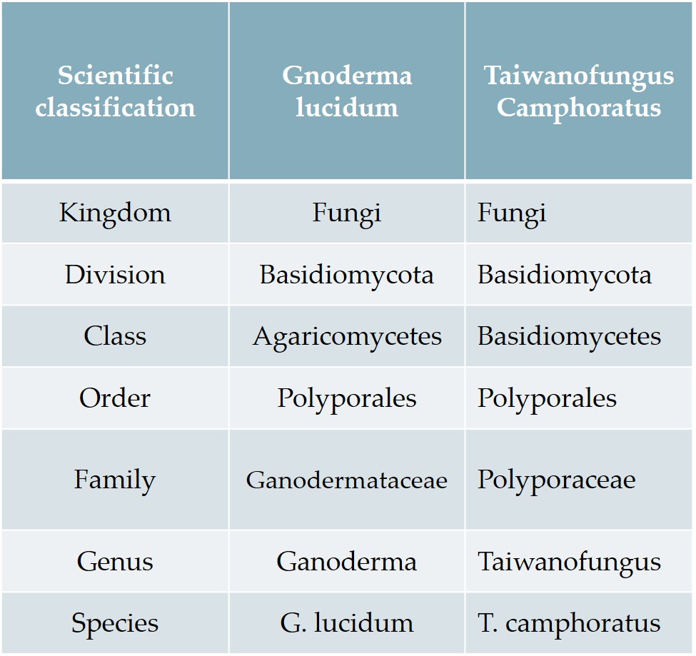 AC english components table new