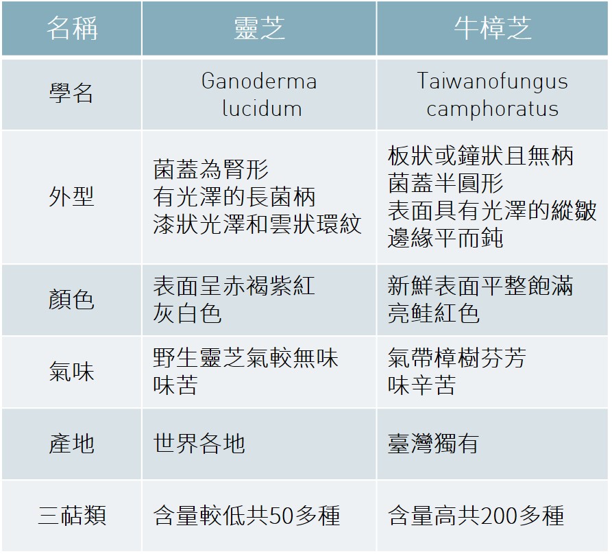 中文牛樟芝成分表